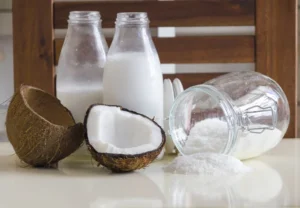 Modal usaha santan kelapa