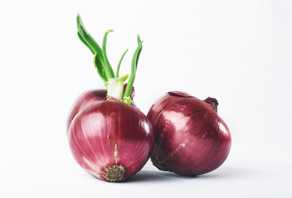 peluang usaha bawang merah