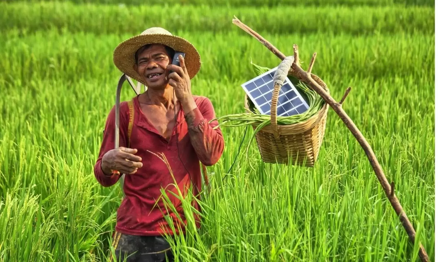 jualan online di kampung