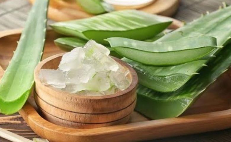 konsumsi nata lidah buaya