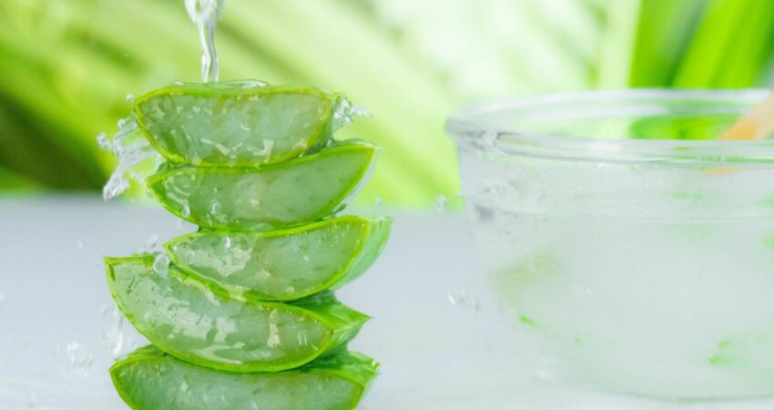 fungsi kesehatan nata de aloe vera