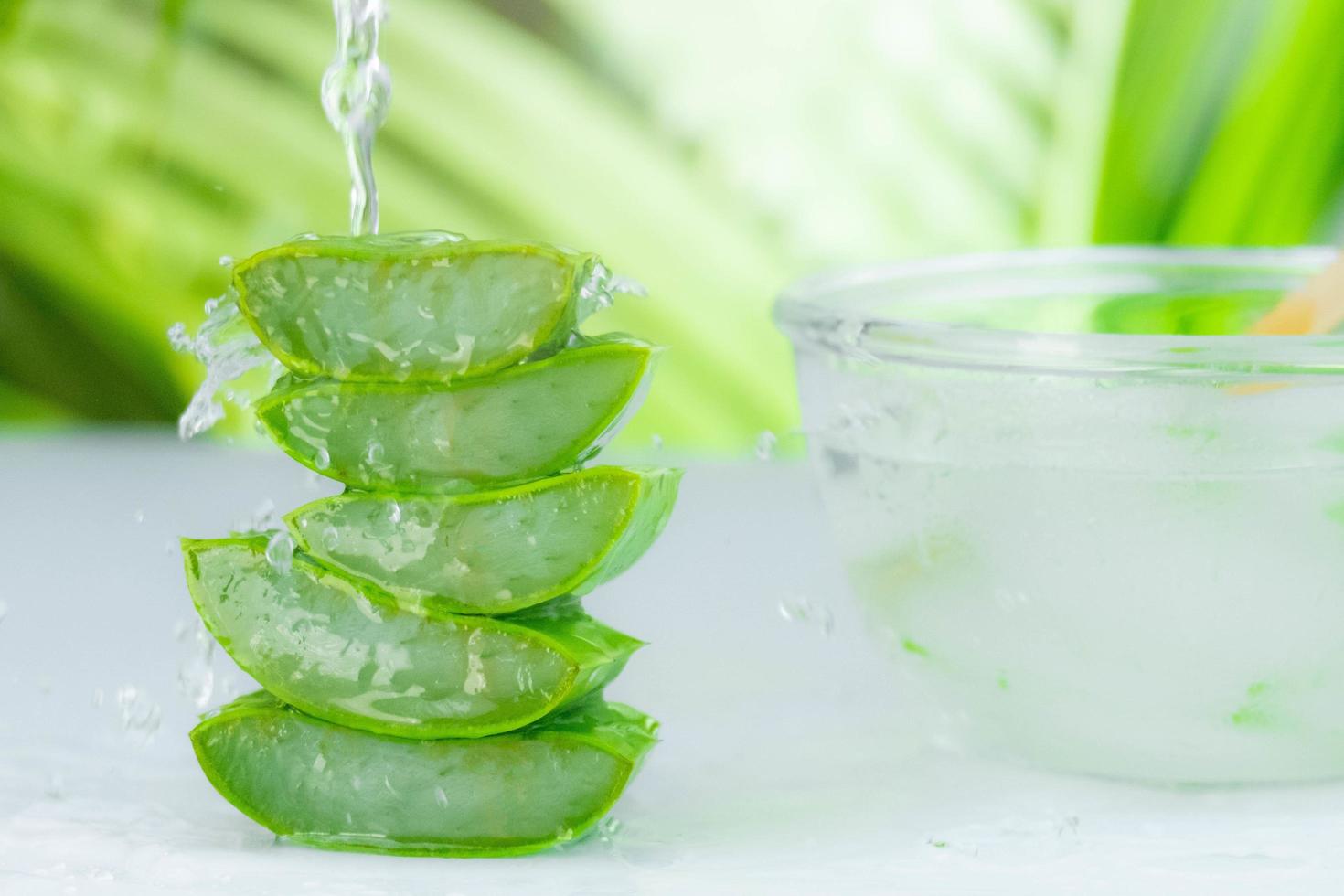 fungsi kesehatan nata de aloe vera