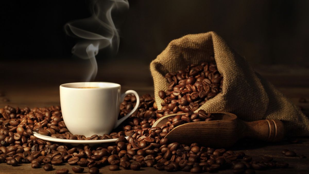 Mekanisme Pengelolaan Biji Kopi, Menjaga Mutu dan Konsistensi