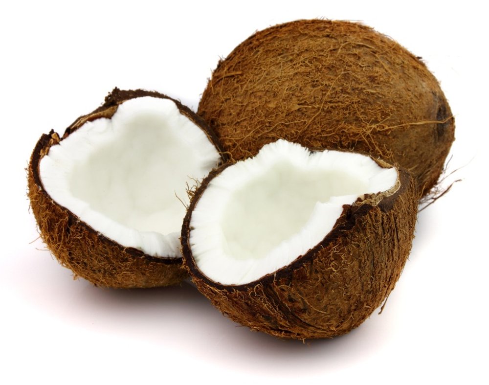 Alat Pemeras Santan Kelapa Parut untuk usaha kuliner
