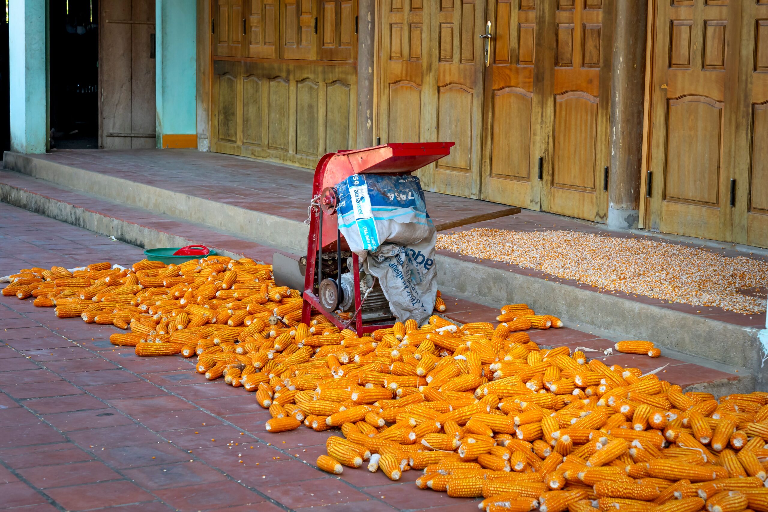 Pengupas Jagung Hemat Energi untuk Hasil Lebih Maksimal