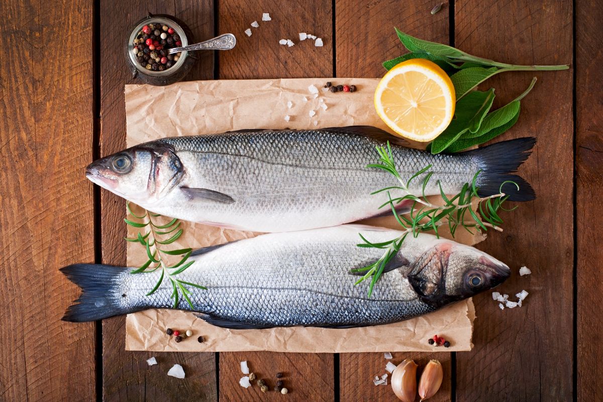 Perbedaan Pemisahan Daging Ikan Manual dan Mesin