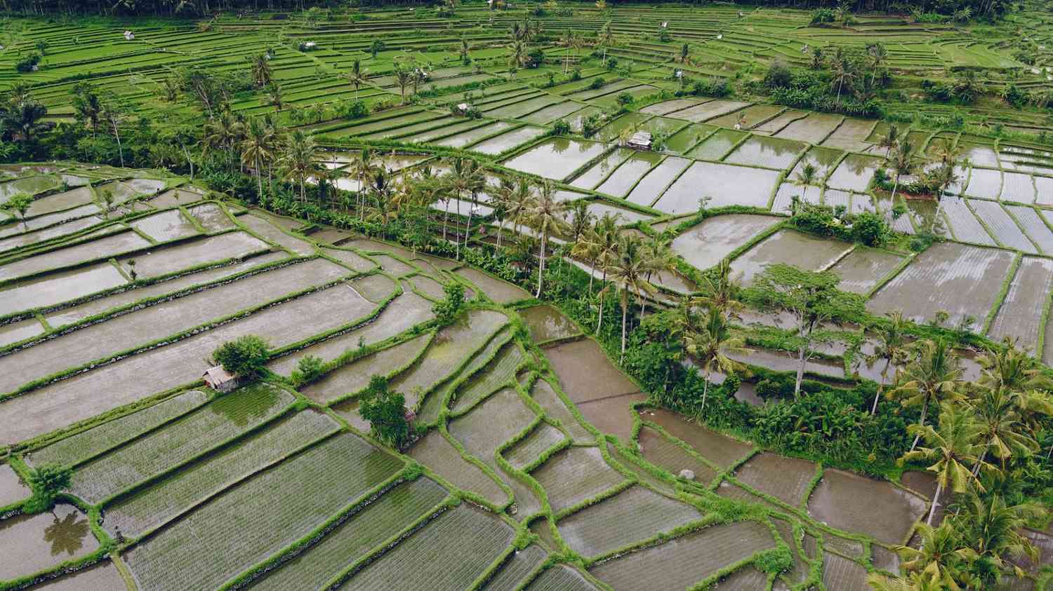 tips menghemat biaya pengairan lahan pertanian
