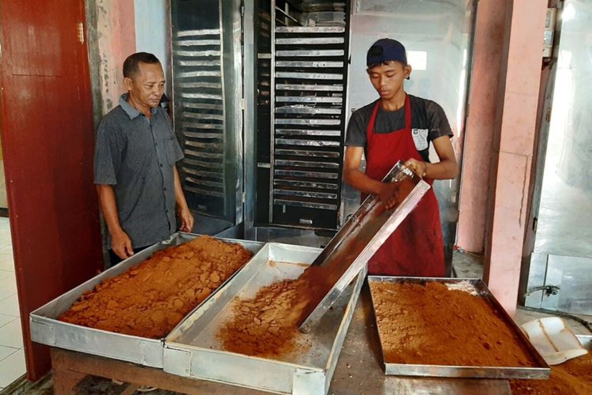 Proses Sortasi Gula Semut agar Hasil Lebih Seragam