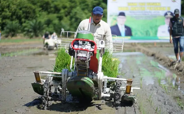 Kisaran Biaya Investasi Mesin Tanam Padi dan Faktor yang Perlu Dipertimbangkan