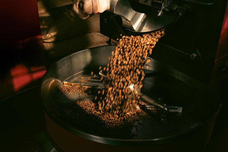 Cara Menentukan Tingkat Sangrai Biji Kopi yang Tepat sesuai Karakter dan Kebutuhan Seduhan