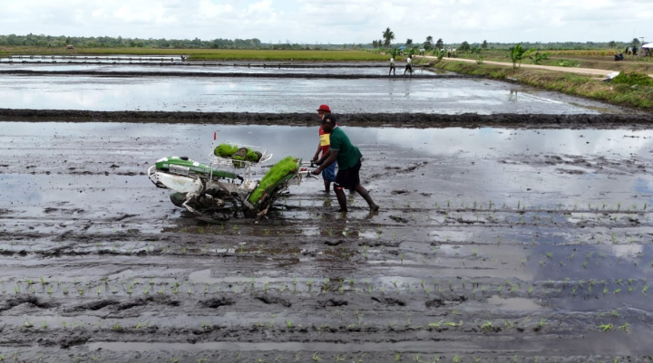 Kebutuhan Mesin Saat Tenaga Tanam Terbatas untuk Efisiensi Usaha Tani