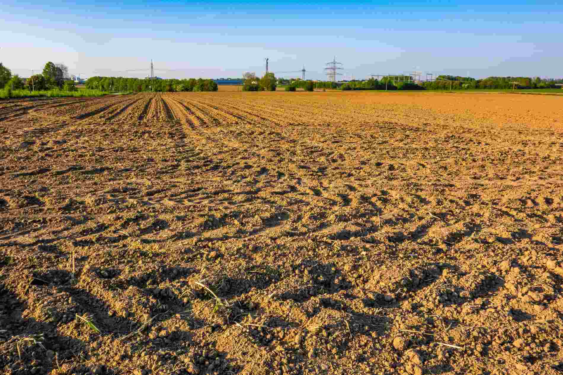 cara mengatasi tanah sawah yang terlalu padat